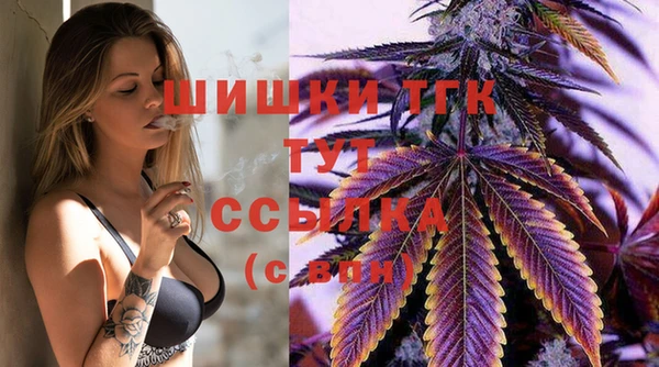 соль ск Белокуриха