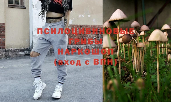 соль ск Белокуриха