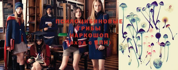соль ск Белокуриха