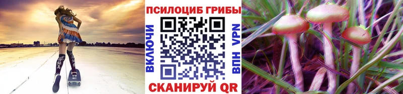 наркошоп Саранск MEGA ТОР Галлюциногенные грибы ЛСД